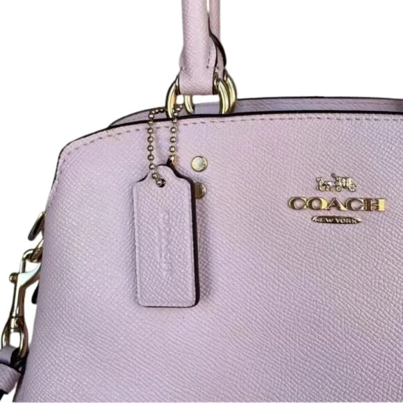 COACH Leather Washed Mauve Mini Lillie Carryall Golden Hardware Feet NWT - Picture 8 of 11